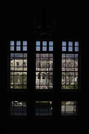 本館廊下からの桜