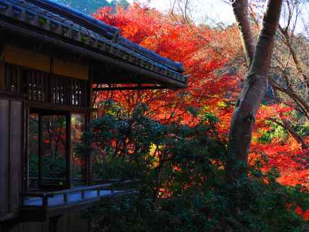 冬、燃える赤ー瑠璃光院