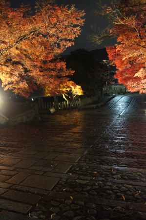夜の金戒光明寺_3