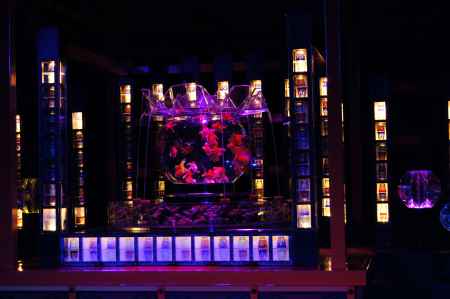 アートアクアリウム城_2