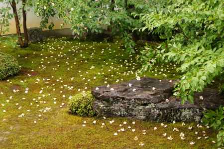 諸行無常の響きあり