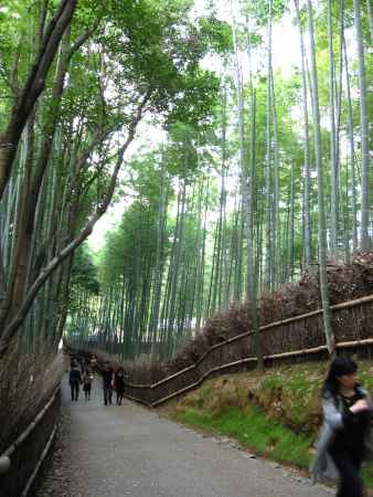 嵐山の竹林の小径