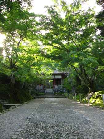 常寂光寺仁王門へ続く参道