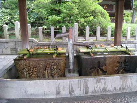 名水菊水若 手水舎