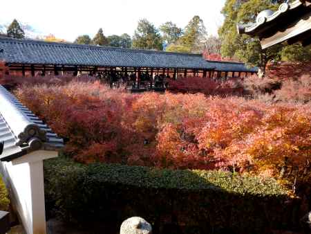通天台からのぞむ通天橋