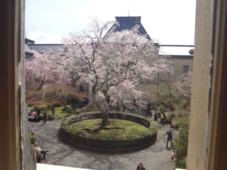 二階より中庭を望む