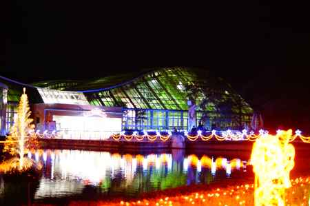 冬の陣　植物園