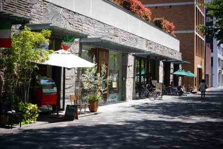 昼下がりの御池通り