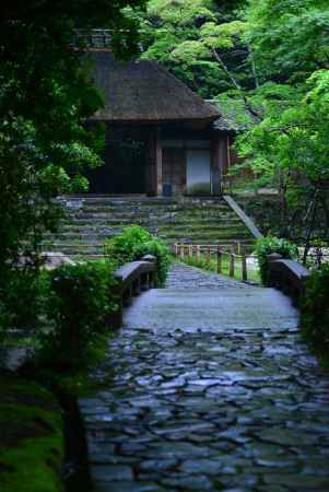 雨の京