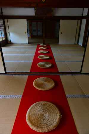 座して静を見る