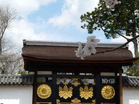 秀吉の夢の跡 （醍醐寺）