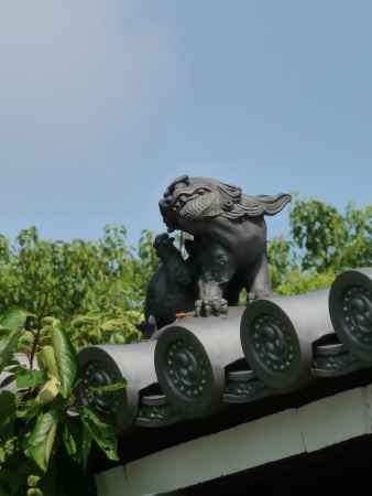 狛犬・大雲院 2013.08