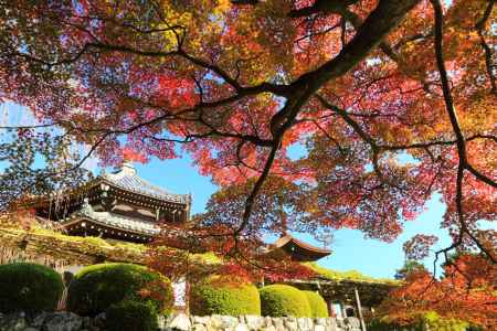 善峯寺　2014秋③