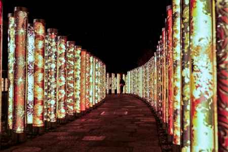 キモノ・フォレスト03