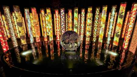 キモノ・フォレスト04