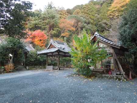 大豊神社初冬の境内