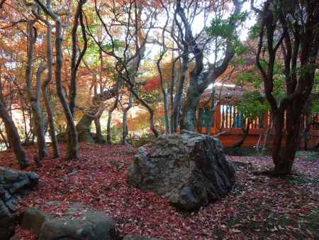 毘沙門堂　庭石の秋