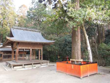 鷺森神社の境内