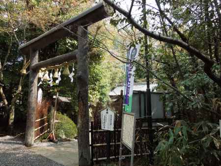 野宮神社黒木鳥居