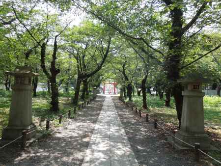 平野神社西参道