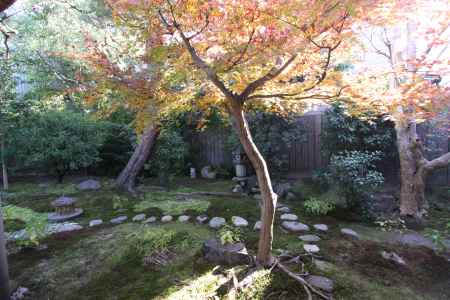 霊源院 紅葉と庭石
