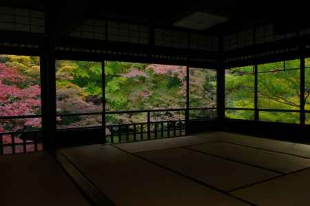 光り輝く瑠璃の庭