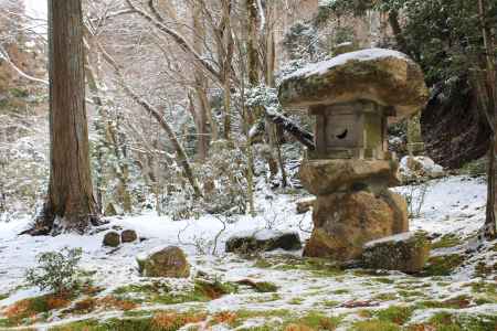 三千院庭園のわらべ地蔵