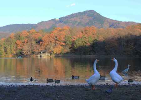 晩秋の落日に憩う