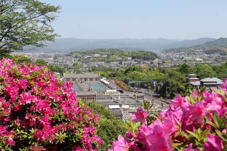 蹴上浄水場のつつじ一般公開
