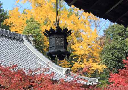 紅葉の赤山禅院