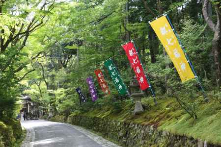 新緑の赤山禅院の参道