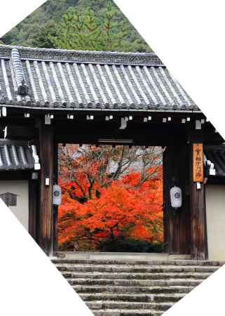 実相院山門の紅葉