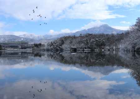 宝ヶ池　冬の朝