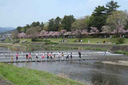 賀茂川を渡る
