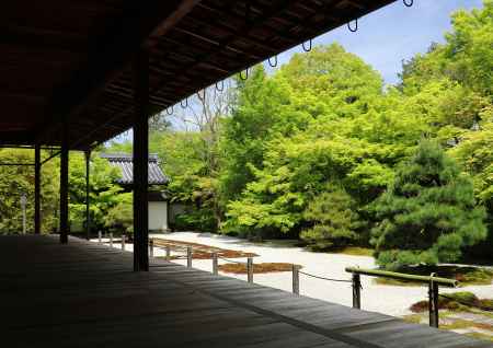 新緑の天授庵