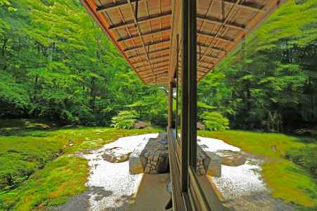 ガラス窓に映る青もみじ