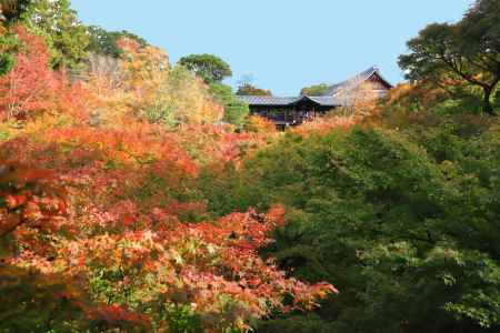 東福寺　紅葉の通天橋
