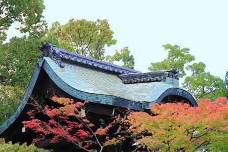 智積院講堂前の門の紅葉