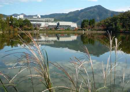 宝が池公園の秋