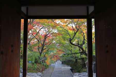 常寂光寺の山門から見た参道