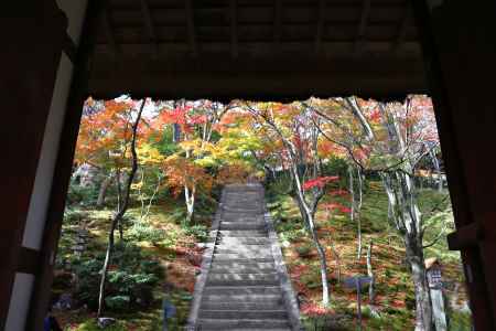 常寂光寺の山門から見た本堂への階段