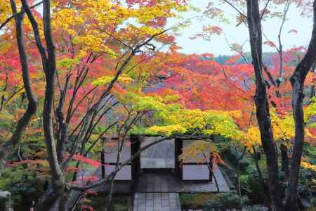 常寂光寺山門の紅葉