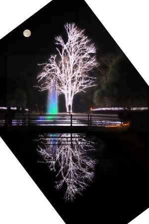 イルミネーションに満月