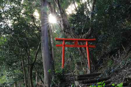 松尾大社磐座登拝入り口の鳥居
