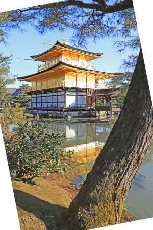 西日に映える舎利殿