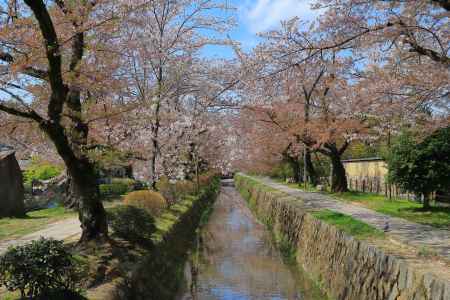 静寂の哲学の道