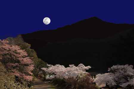 スーパームーン　桜咲く宝ヶ池から