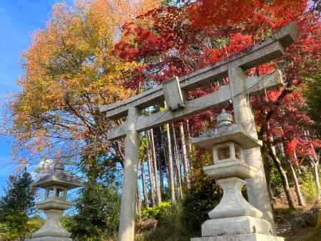 妙見神社の紅葉