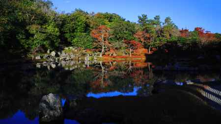 陽が昇り照らし出された天龍寺曹源池庭園のもみじ
