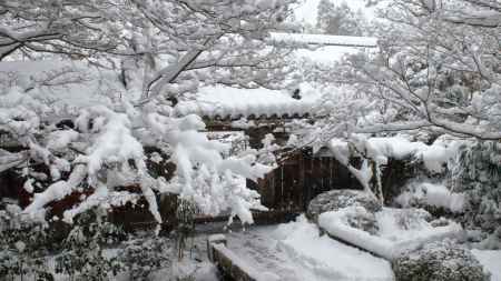 雪の宝泉院